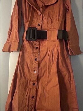 Rust Button-Front Shirt Dress with Black Belt